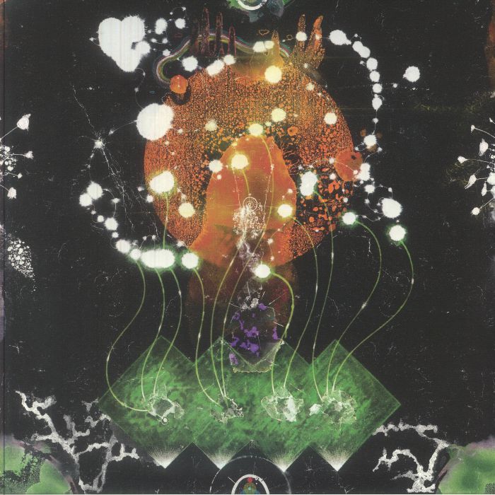 F Ampism – The Vertical Luminous vinyl cover
