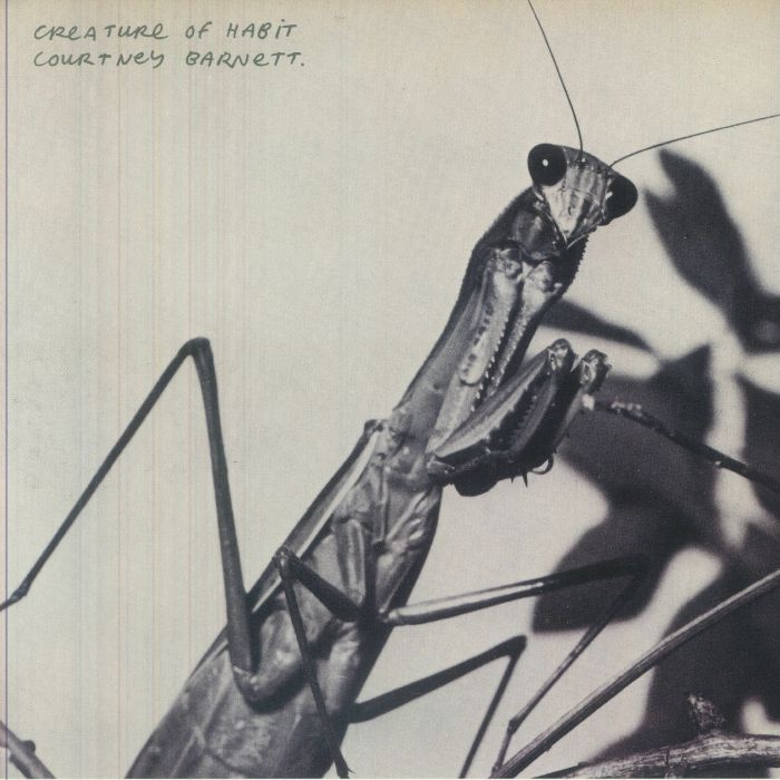 Courtney Barnett – Creature Of Habit vinyl cover