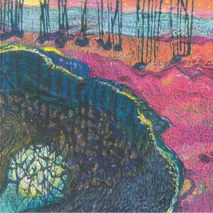 Delphine Dora – L'ineluctable Pulsation Du Temps vinyl cover
