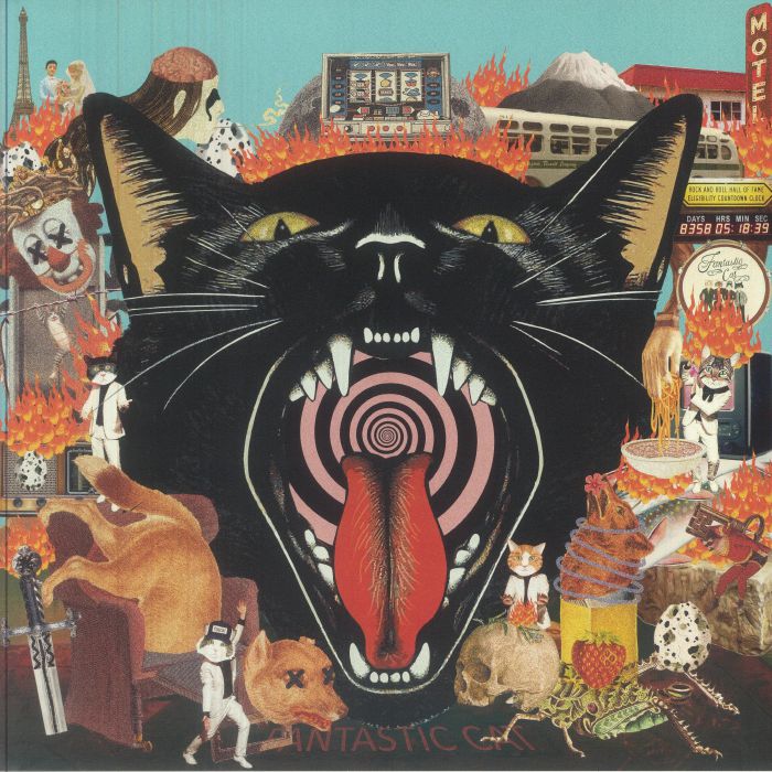 Fantastic Cat – Cat Out Of Hell vinyl cover