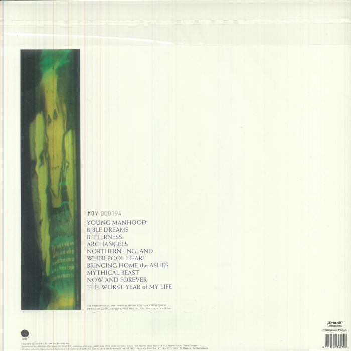 The WILD SWANS - Bringing Home The Ashes (reissue)