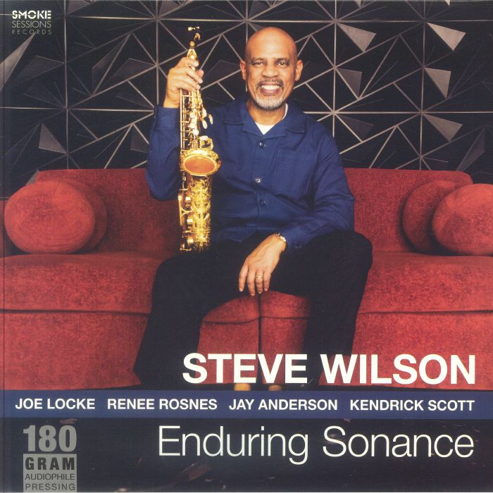 Steve Wilson – Enduring Sonance vinyl cover