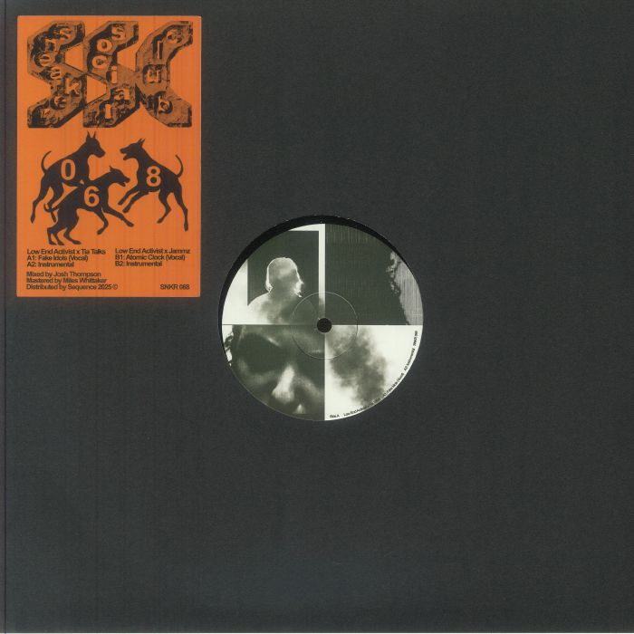Low End Activist – Fake Idols vinyl cover
