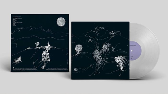 Anenon – Dream Temperature vinyl cover