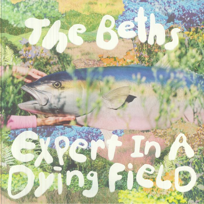 The Beths – Expert In A Dying Field vinyl cover