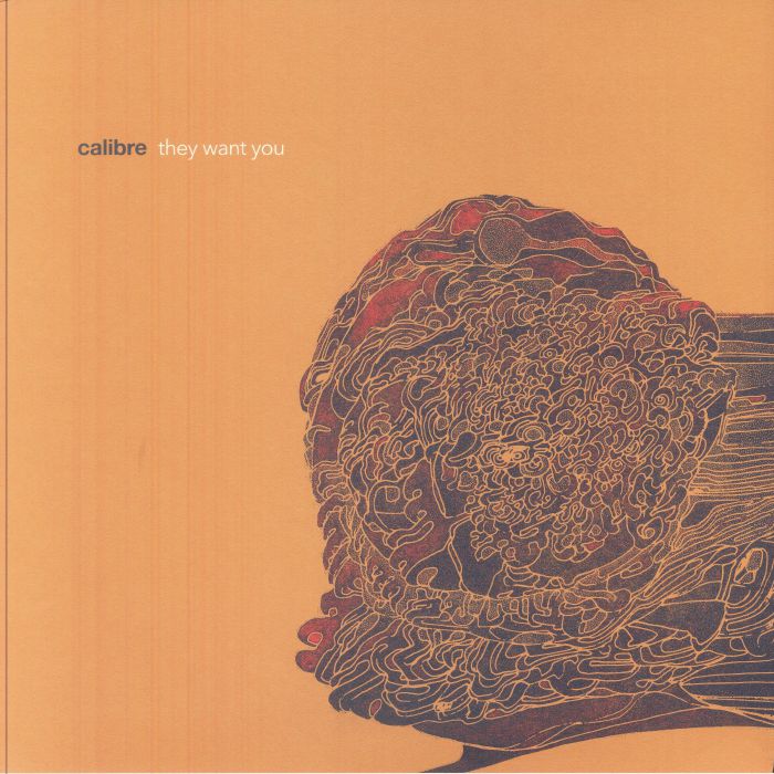 Calibre – They Want You vinyl cover