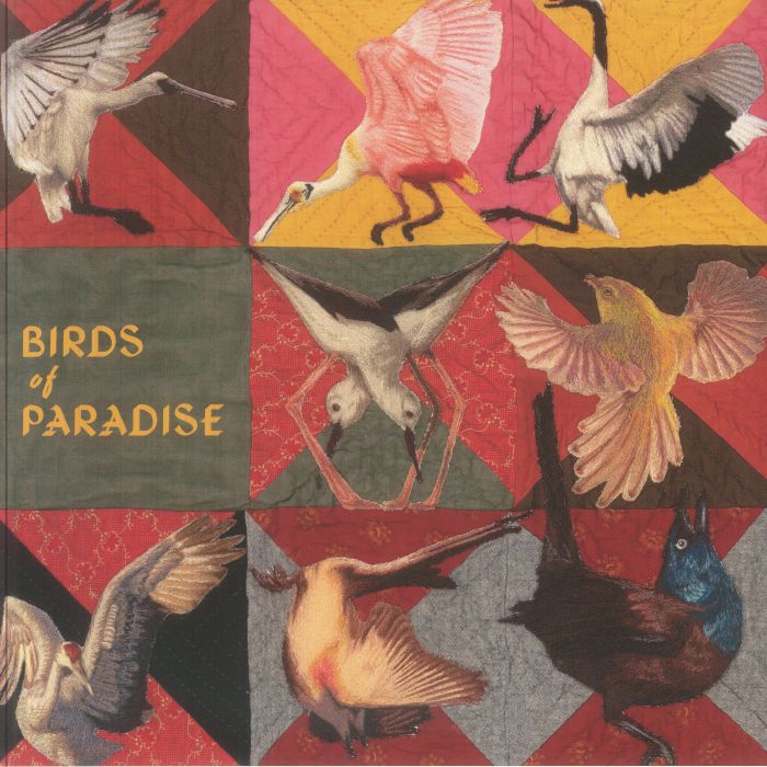 Thomas Dollbaum – Birds Of Paradise vinyl cover