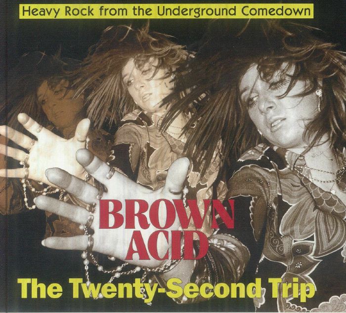 VARIOUS - Brown Acid: The Twenty Second Trip