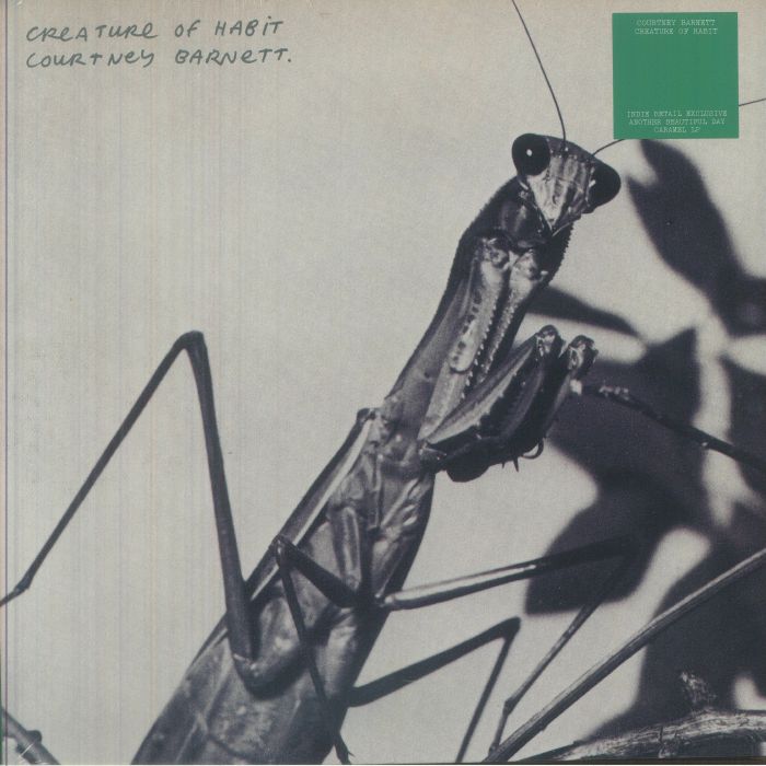 Courtney Barnett – Creature Of Habit vinyl cover