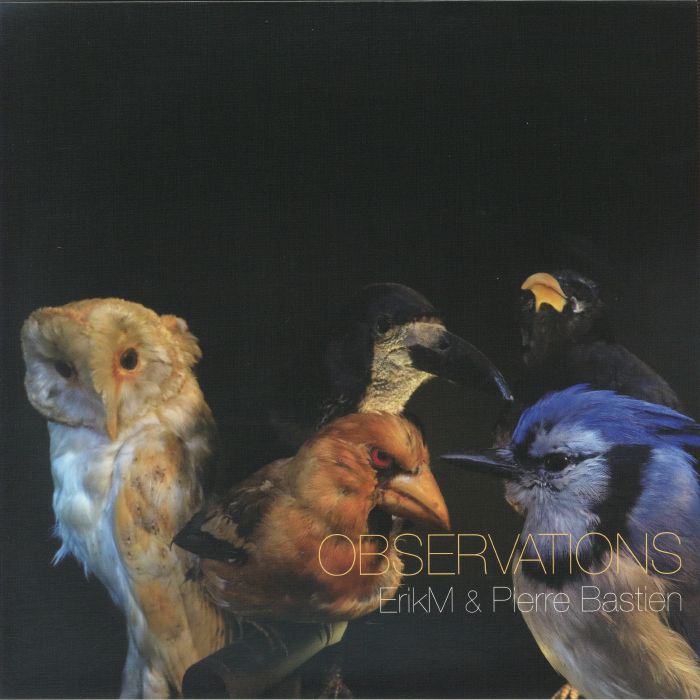 ERIK M / PIERRE BASTIEN – Observations vinyl cover