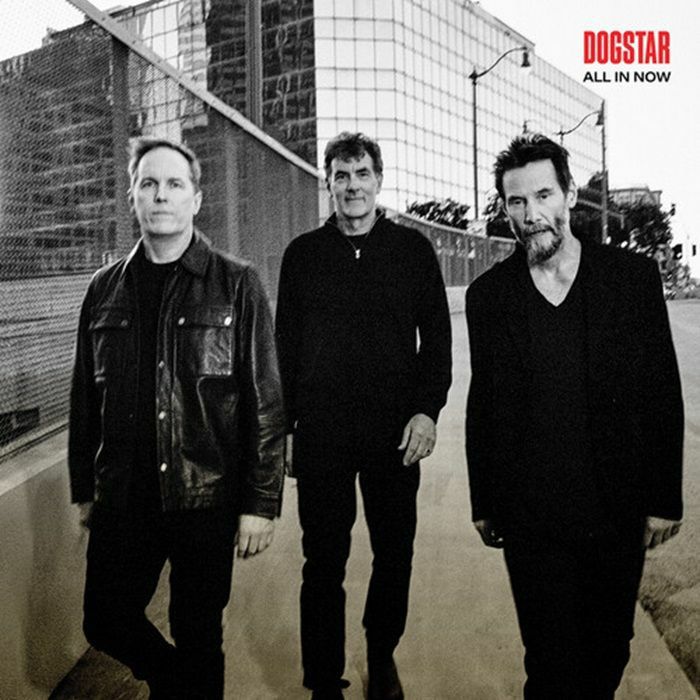 Dogstar – All In Now vinyl cover