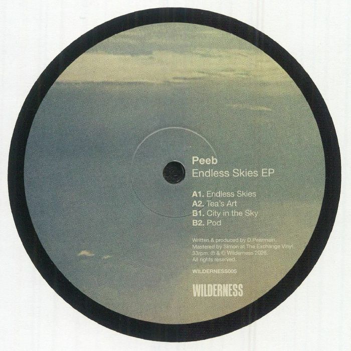 Peeb – Endless Skies EP vinyl cover