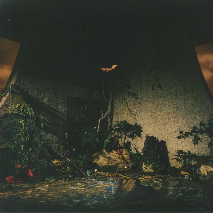 The Plot In You – The Plot In You vinyl cover