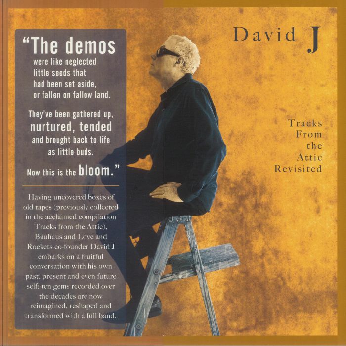 David J – Tracks From The Attic Revisited vinyl cover