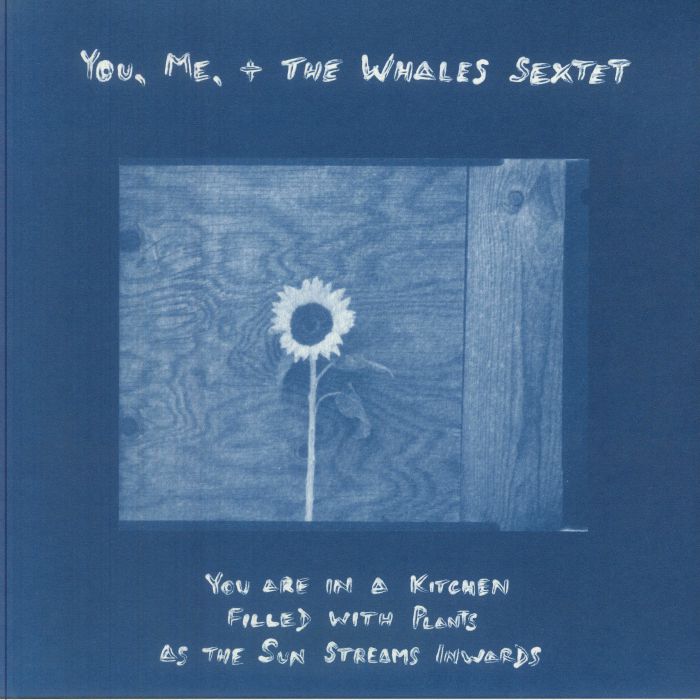 You Me & The Whales Sextet – You Are In A Kitchen Filled With Plants As The Sun Streams Inwards vinyl cover
