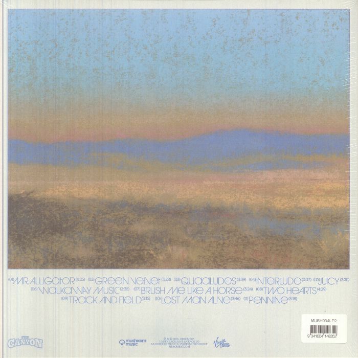 Jjerome87 – The Canyon vinyl cover