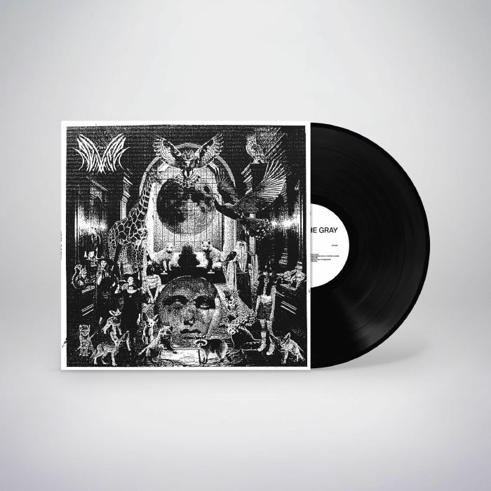 Never – The Gray vinyl cover