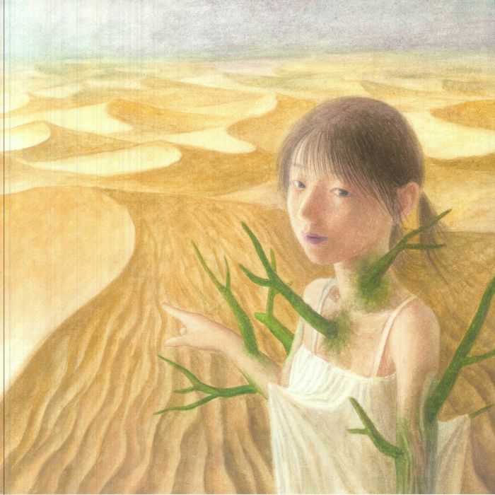 Evanora Unlimited – Perfect Answer vinyl cover