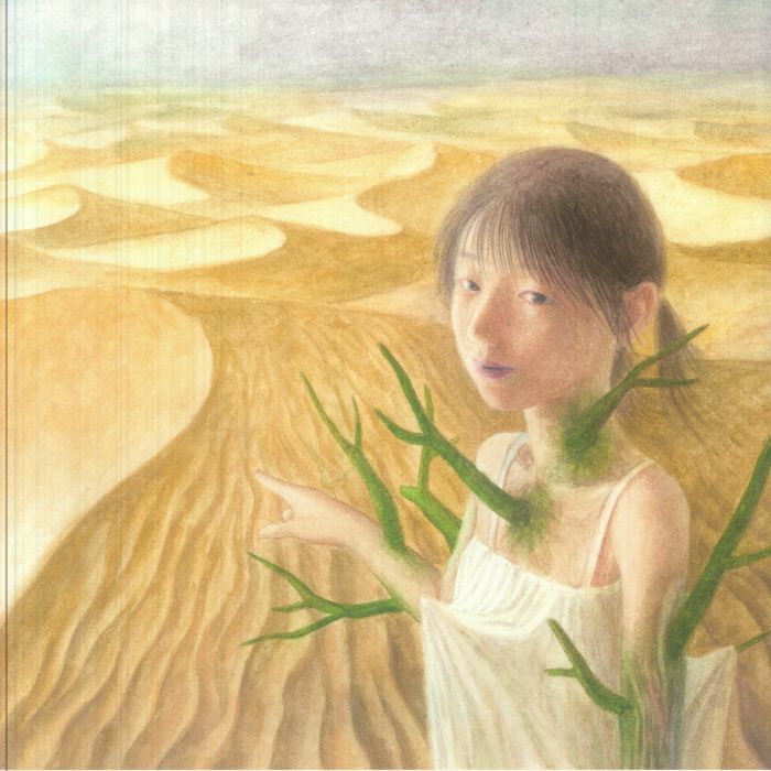Evanora Unlimited – Perfect Answer vinyl cover
