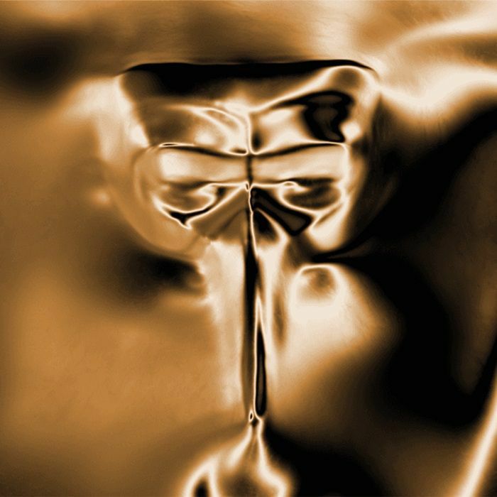 Claptone – Wanderer vinyl cover