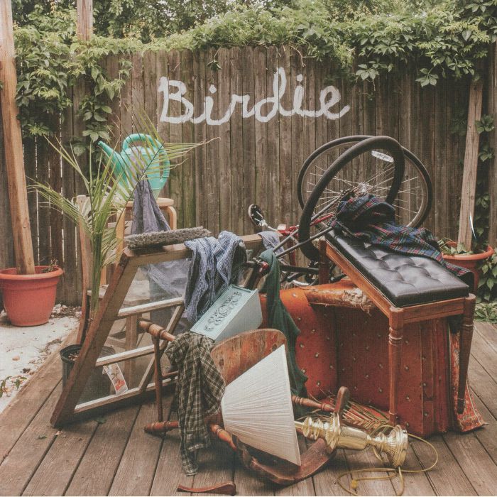Slaughter Beach Dog – Birdie vinyl cover