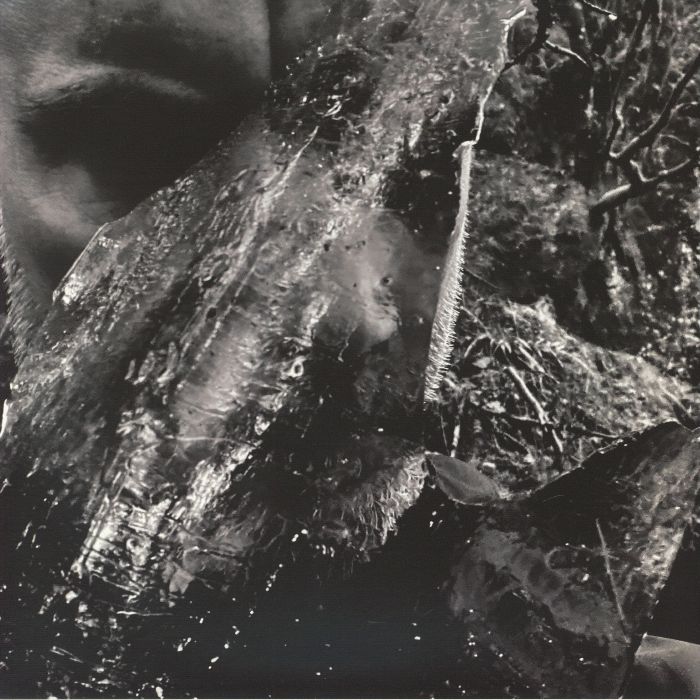 Taake – En Skog Av Nidstang vinyl cover