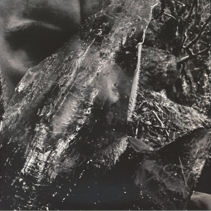 Taake – En Skog Av Nidstang vinyl cover