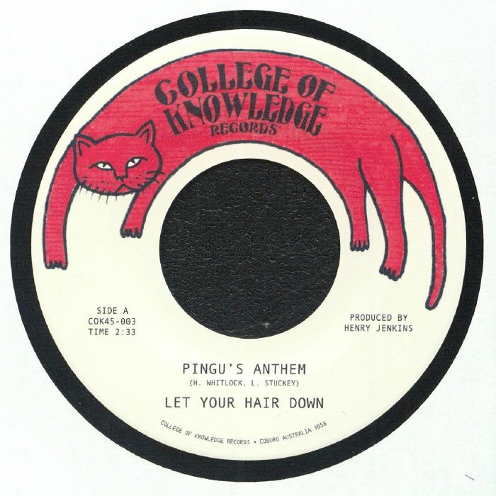 Let Your Hair Down – Pingu's Anthem vinyl cover