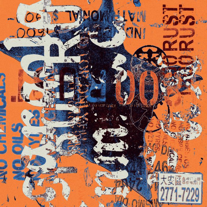 Rusty Chain Mail Roza TERENZI - Rust Vinyl at Juno Records.