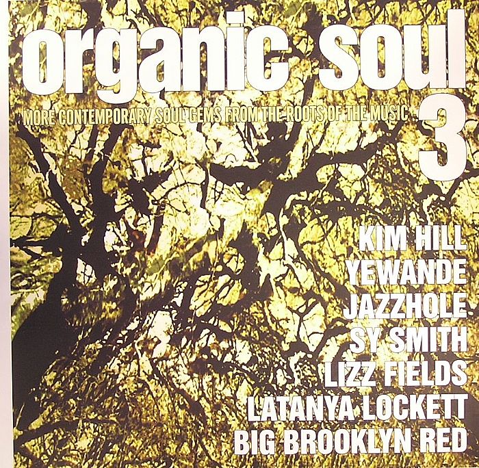 VARIOUS - Organic Soul 3 (More Contemporary Soul Gems From The Roots Of The Music) 
