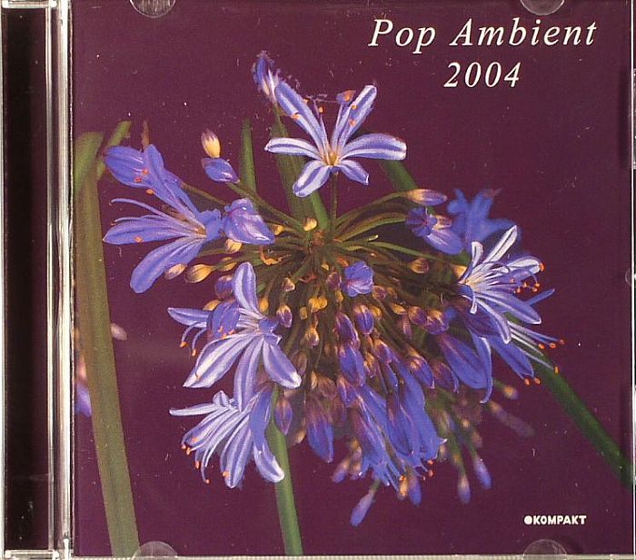 VARIOUS - Pop Ambient 2004 