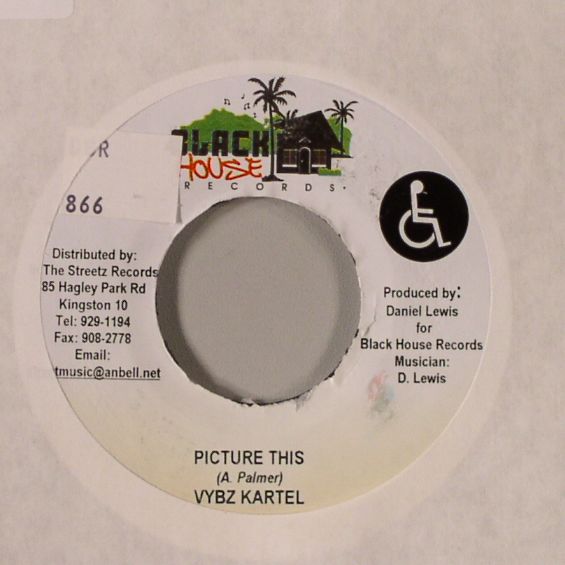 VYBZ KARTEL - Picture This