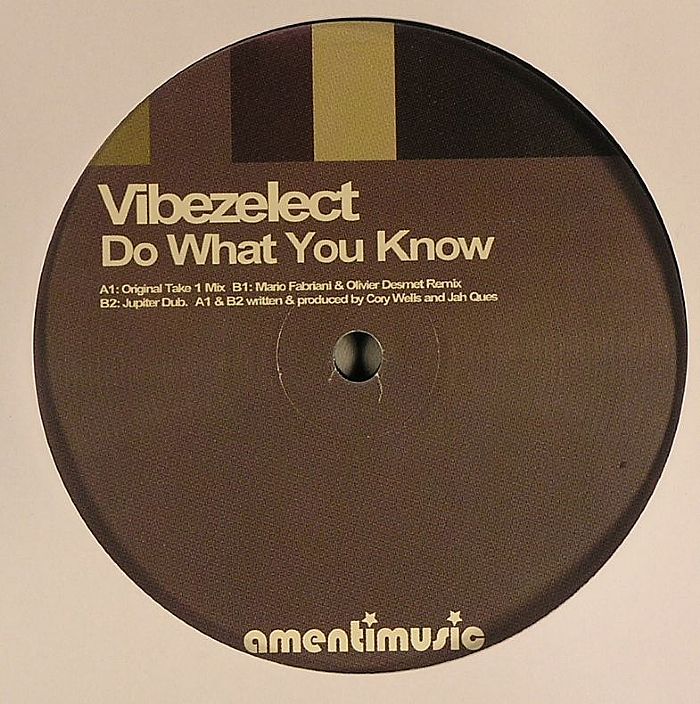 VIBEZELECT - Do What You Know