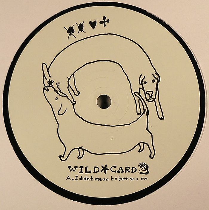 WILD CARD - I Didn't Mean To Turn You On