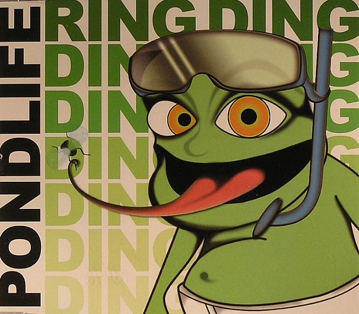 PONDLIFE - Ring Ding Ding