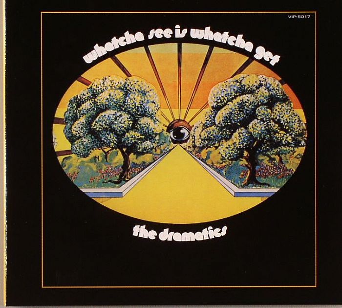 DRAMATICS, The - Whatcha See Is Whatcha Get