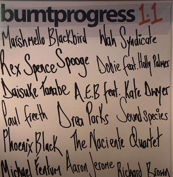 VARIOUS - Burntprogress 1.1