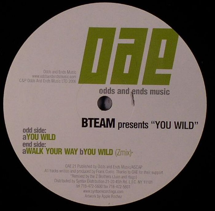 B TEAM - You Wild