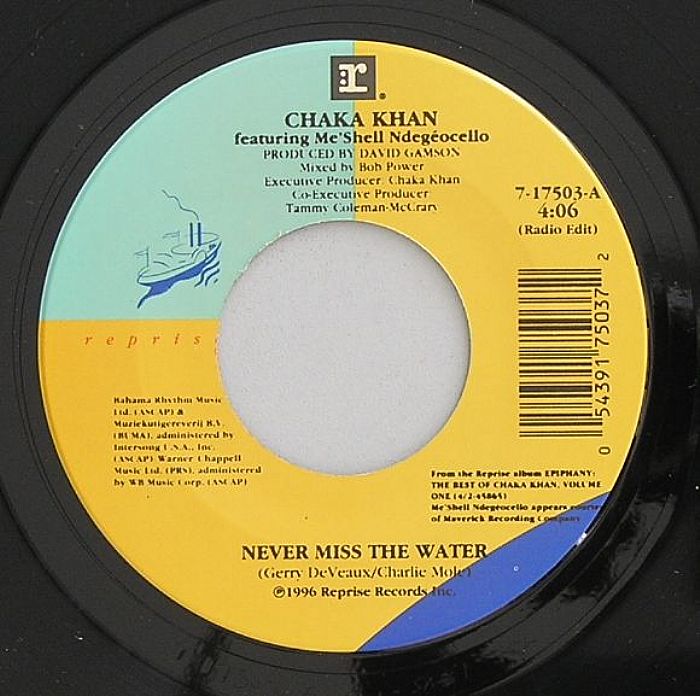 CHAKA KHAN feat ME'SHELL NDEGEOCELLO - Never Miss The Water