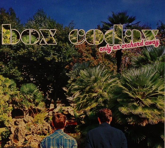 BOX CODAX - Only An Orchard Away