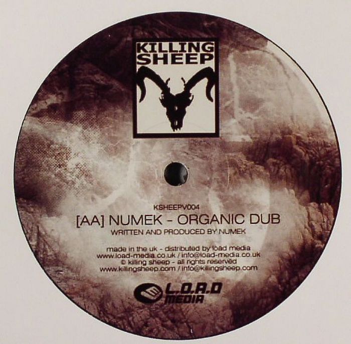 DJ Hidden / Numek - Times Like These / Organic Dub DJ Hidden / Numek - Times Like These / Organic Dub