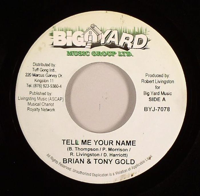 BRIAN & TONY GOLD/ICEMAN - Tell Me Your Name ( Reggae Vibes Aka Solomon Riddim)