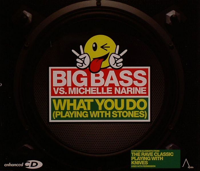BIG BASS vs MICHELLE NARINE - What You Do (Playing With Stones)