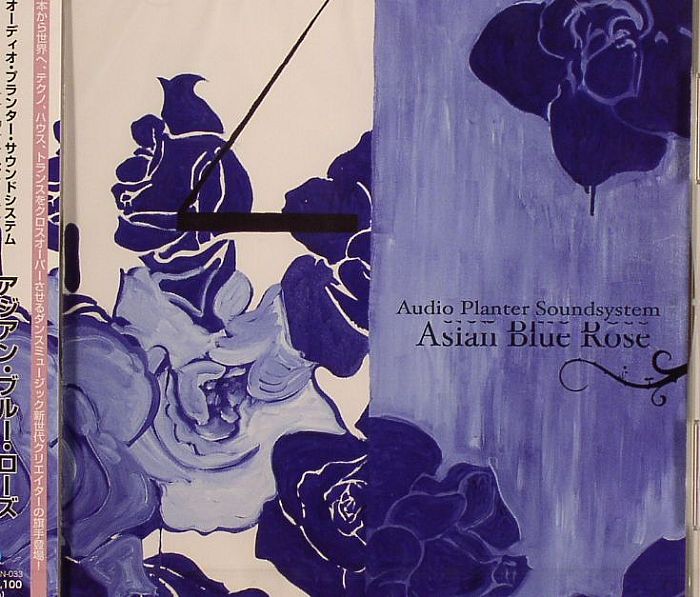 AUDIO PLANTER SOUNDSYSTEM - Asian Blue Rose