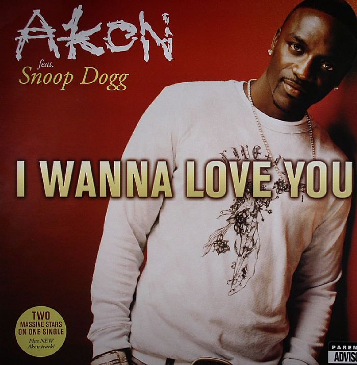 AKON feat SNOOP DOGG - I Wanna Love You