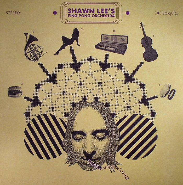 SHAWN LEES PONG PONG ORCHESTRA - Voices & Choices