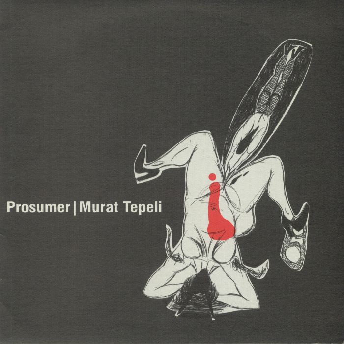 PROSUMER/MURAT TEPELI - What Makes You Go For It