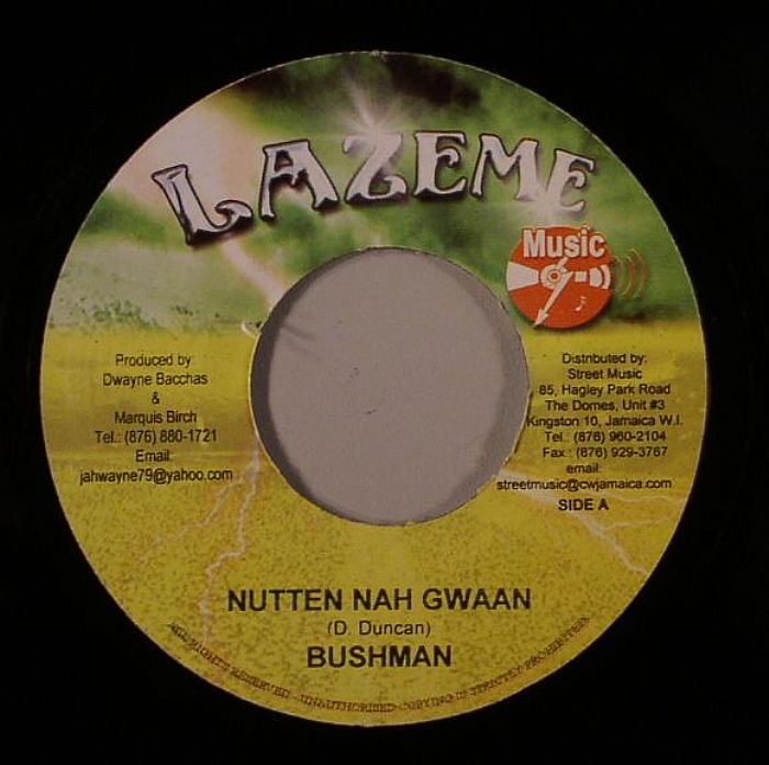 BUSHMAN - Nutten Nah Gwaan (Jah Soul Riddim)