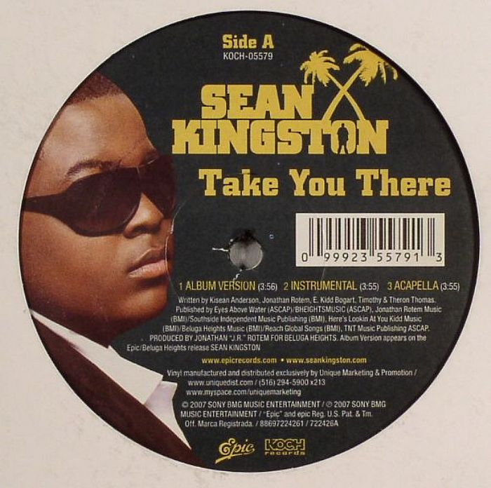 Sean KINGSTON Take You There Vinyl at Juno Records.
