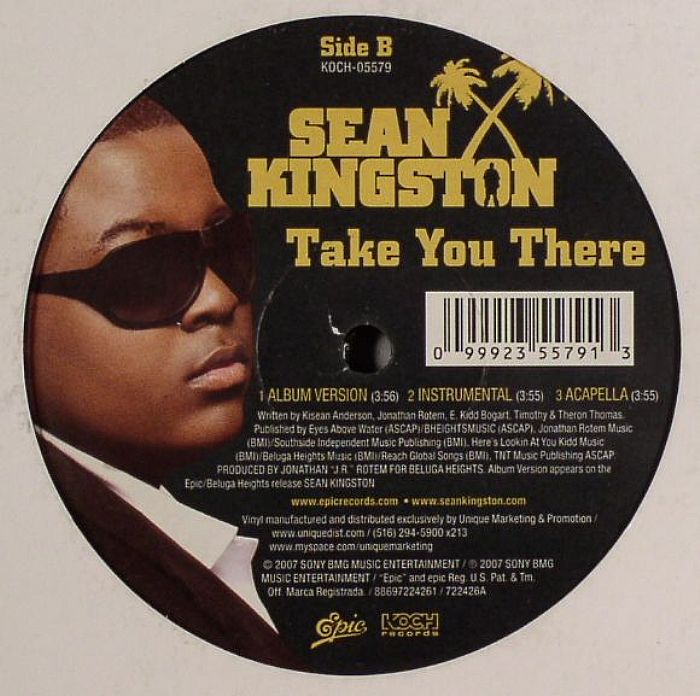 Sean KINGSTON Take You There Vinyl at Juno Records.